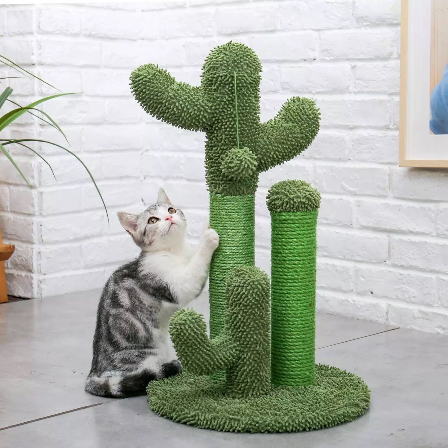 Cat Scratcher