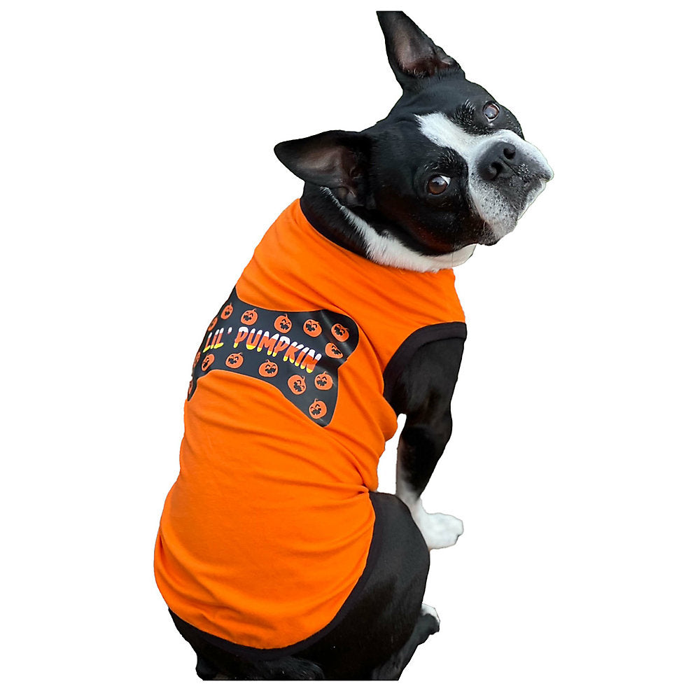 Lil Pumpkin Dog Tank